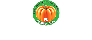 Kabak Tatlıcısı Mesut Usta